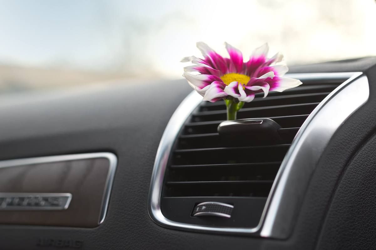 car air conditioner with creative natural flower air freshener